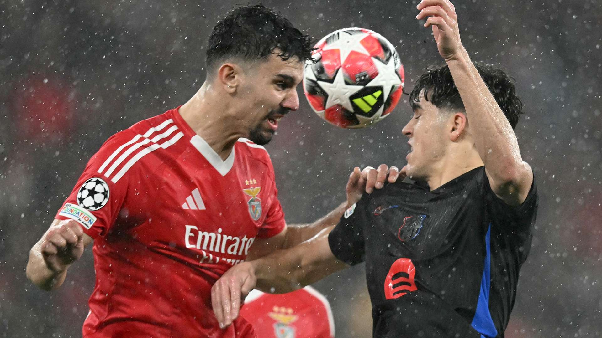 结语前的思 结语前的思